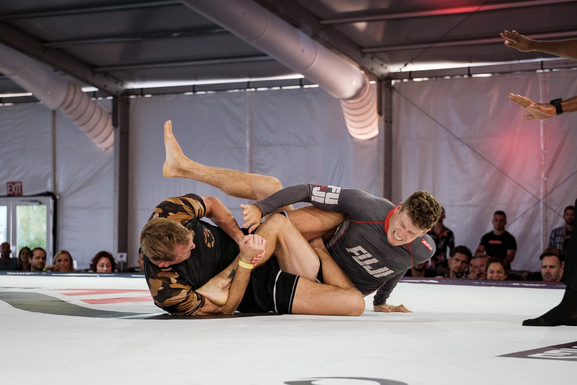 Mma Fighter Program Design How to Embrace the Fight: MMA Training Program for Charity